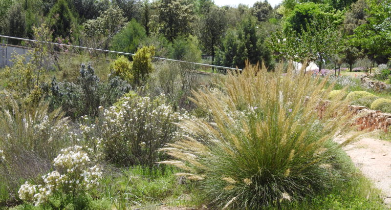 El Patronato del Jardín Botánico de Castilla-La Mancha aprueba un presupuesto de casi 511.000 euros para 2023